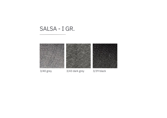 salsa-i-gr_1746524282-9296e095c9236993c7b1f0056b6ac765.png
