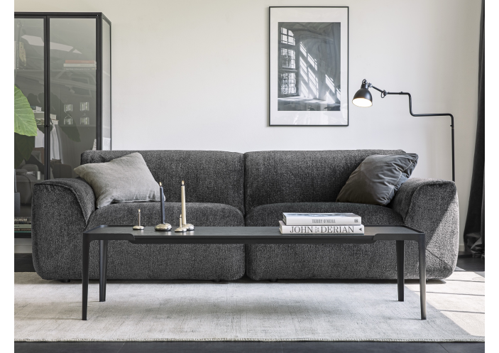 sofa-emily-sits-ease-baldai-2_1785159849-56cf0f6a0cbde4849f01ef3d51c489f9.jpg