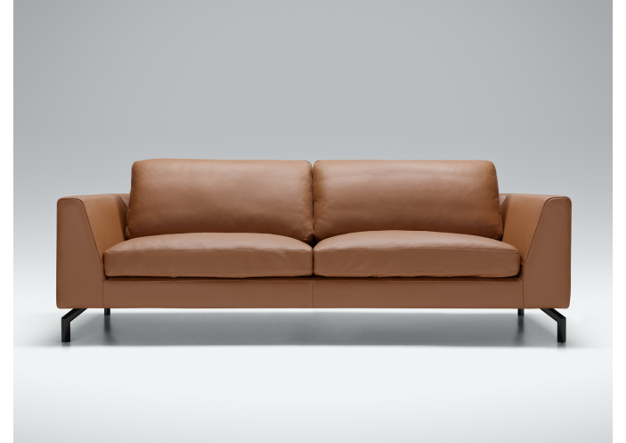 sofa-ohio-sits-ease-baldai-111_1790854867-048496faa358872bdf55738efd568ba0.jpg